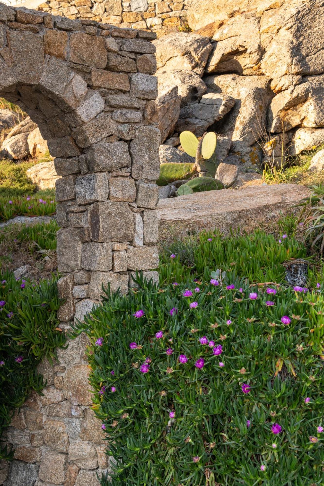 Etesians & Guest house