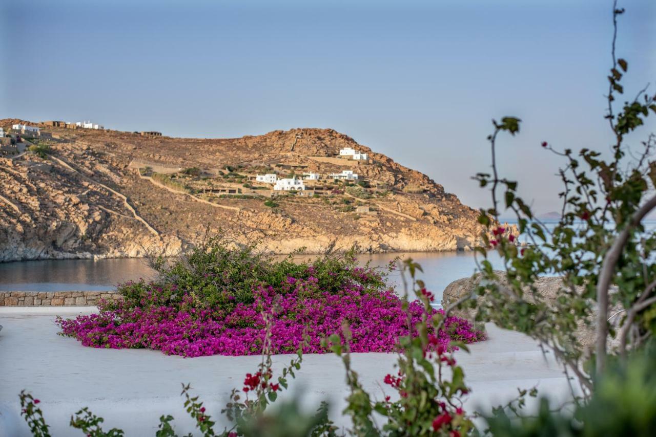 Etesians & Guest house